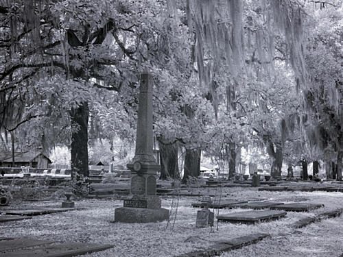 Old Live Oak Cemetery, Selma, Alabama VI Art Print