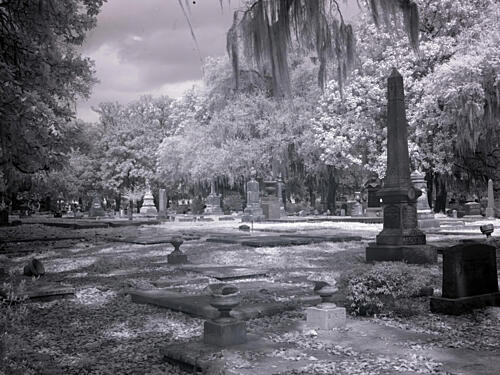 Old Live Oak Cemetery, Selma, Alabama VII Art Print