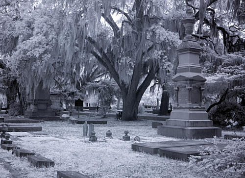 Old Live Oak Cemetery, Selma, Alabama IX Art Print