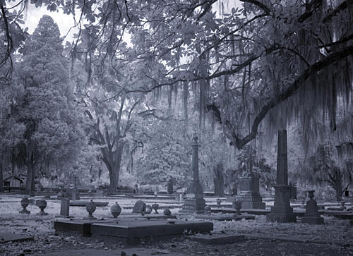 Old Live Oak Cemetery, Selma, Alabama X Art Print