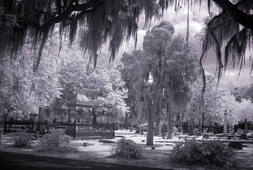 Old Live Oak Cemetery, Selma, Alabama XIII Art Print