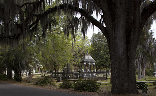 Old Live Oak Cemetery, Selma, Alabama XIV Art Print