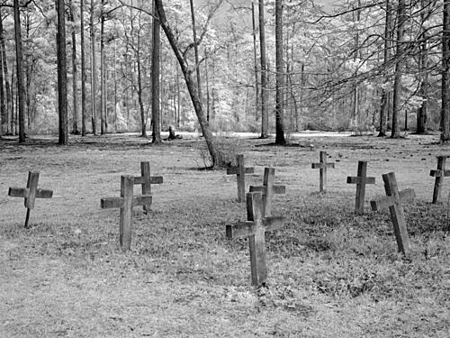 Blakeley Sp, Scene of the Last Major Battle of the Civil War, Spanish Fort, Alabama VI Art Print