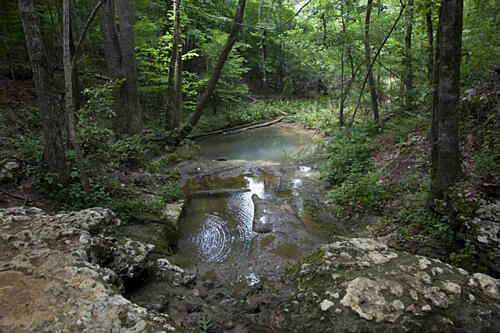 Indian Baths at Old St. Stephens Park, St. Stephens, Alabama I Art Print