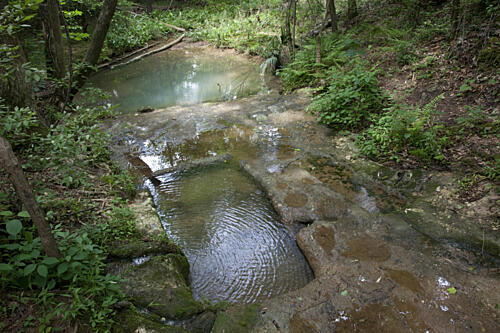 Indian Baths at Old St. Stephens Park, St. Stephens, Alabama II Art Print