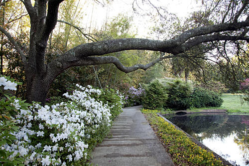 Bellingrath Gardens and Home, Alabama III Art Print