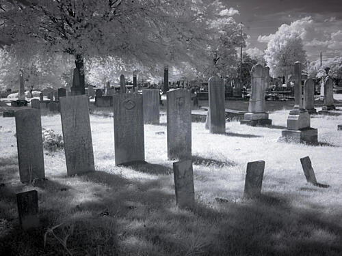 Greenwood Cemetery, Alabama I Art Print