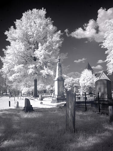 Greenwood Cemetery, Alabama IV Art Print