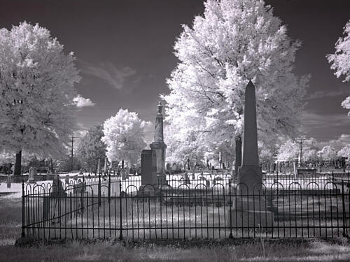 Greenwood Cemetery, Alabama V Art Print