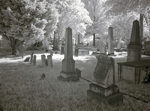 Greenwood Cemetery, Alabama VI Art Print