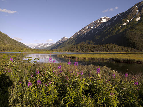 The Seward Highway in the Chugach National Forest, Alaska III Art Print