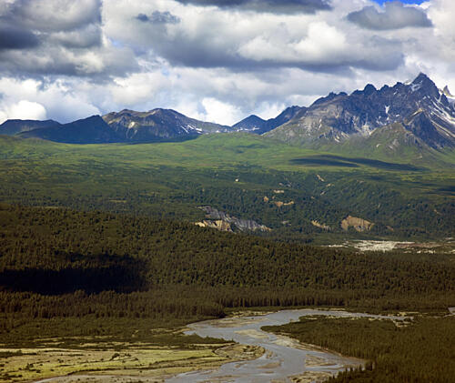 Remote Glacial River and Alpine Forest Amongst Mountains, Alaska Art Print
