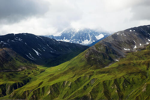 Alaskan Tundra, Denali National Park, Alaska Art Print