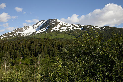 The Seward Highway in the Chugach National Forest, Alaska IV Art Print