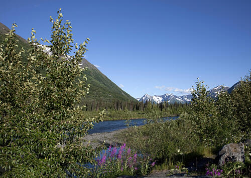 The Seward Highway in the Chugach National Forest, Alaska V Art Print