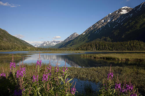 The Seward Highway in the Chugach National Forest, Alaska VII Art Print