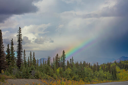 Denali National Park and Preserve Alaska I Art Print