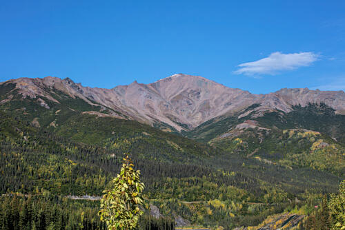 Denali National Park and Preserve Alaska II Art Print