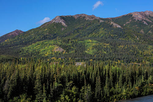 Denali National Park and Preserve Alaska III Art Print