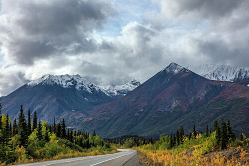 Denali National Park and Preserve Alaska XII Art Print