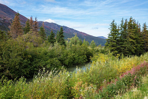 Denali National Park and Preserve Alaska XIII Art Print