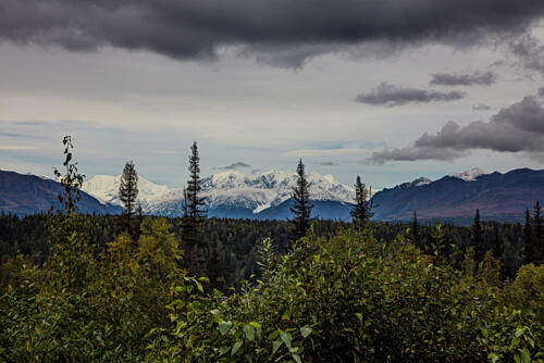 Denali National Park and Preserve Alaska XIV Art Print