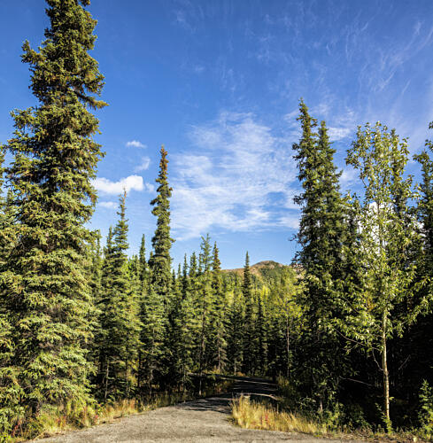 Denali National Park and Preserve, Formerly, Alaska I Art Print