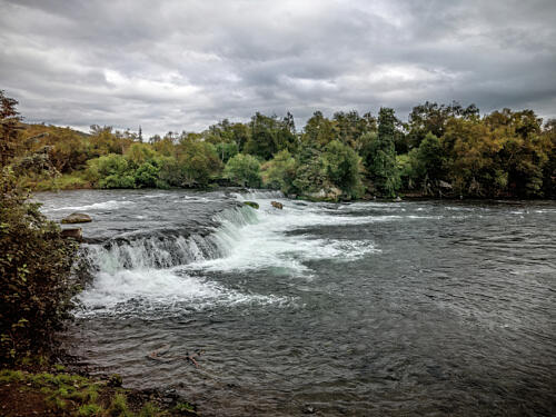 Brooks Falls, Alaska I Art Print
