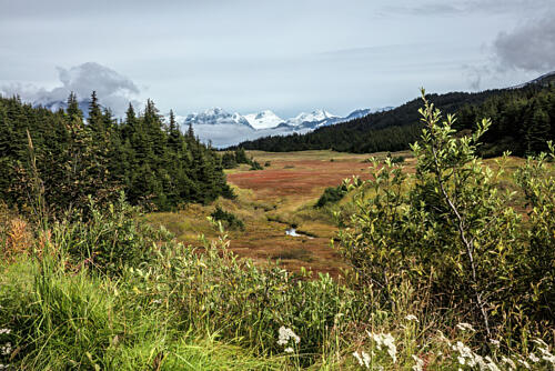Mountains from Sterling Highway from Anchorage to Homer in Alaska II Art Print