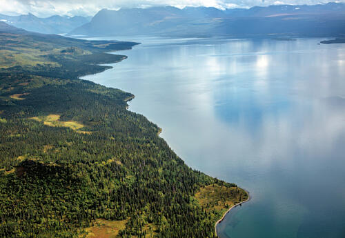 Traveling from Anchorage to Brooks Falls in Kenai National Park in Alaska VIII Art Print