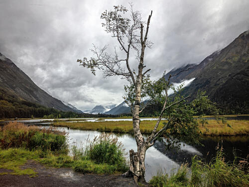 Denali National Park and Preserve, Formerly, Alaska II Art Print