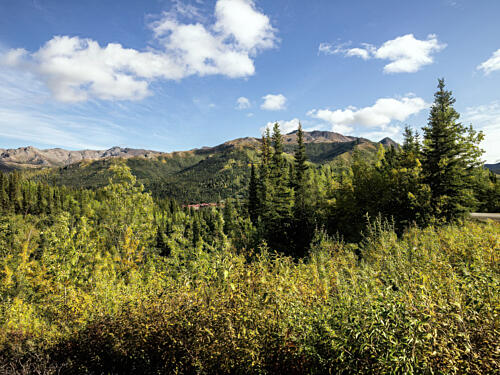 Denali National Park and Preserve, Formerly, Alaska VIII Art Print