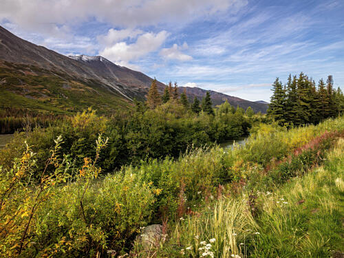 Denali National Park and Preserve, Formerly, Alaska X Art Print