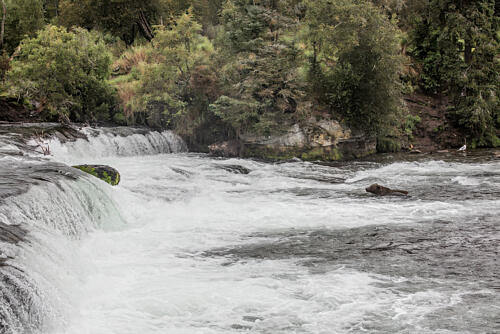 Brooks Falls, Alaska VI Art Print
