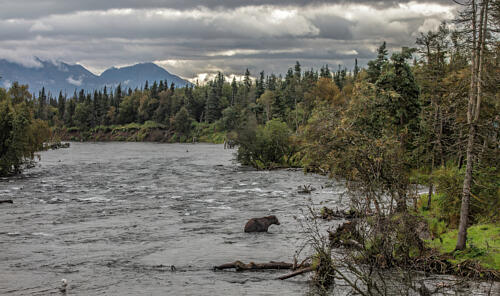 Brooks Falls, Alaska VIII Art Print