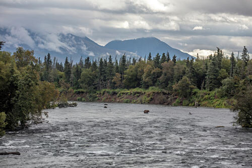 Brooks Falls, Alaska IX Art Print