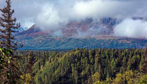 Denali National Park and Preserve XVI Art Print