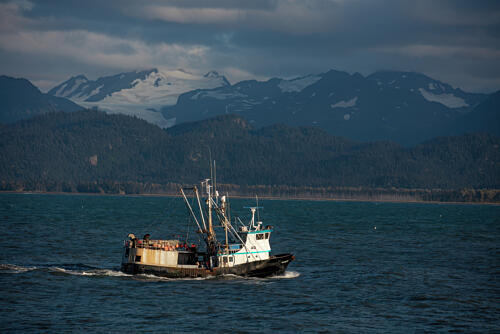 Homer, Alaska XV Art Print