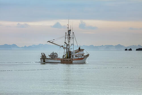 Homer, Alaska XIX Art Print