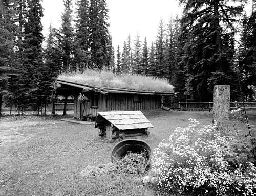 Grass Roof on a Cabin in North Pole, Alaska Art Print