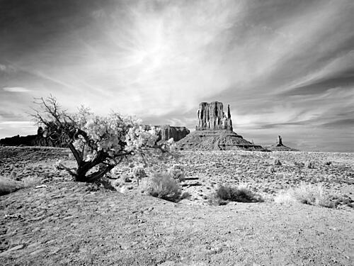 Monument Valley, Arizona V Art Print