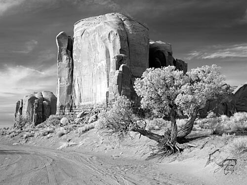 Monument Valley, Arizona VI Art Print