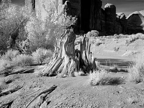 Monument Valley, Arizona VII Art Print