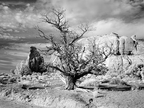 Monument Valley, Arizona X Art Print