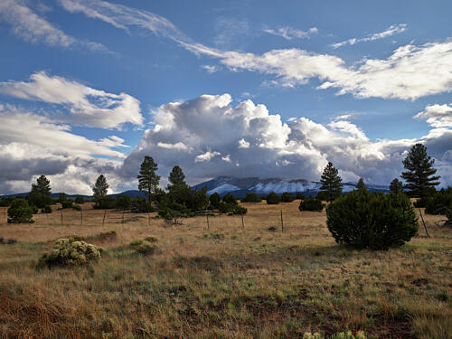 Coconino County, Arizona Between Flagstaff and Grand Canyon National Park IV Art Print