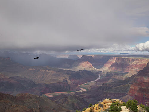 Storm Clouds Enhance the Remote Majesty of the Grand Canyon in North-Central Arizona V Art Print