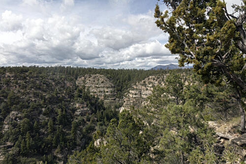 View into Walnut Canyon National Monument, Arizona, Flagstaff I Art Print