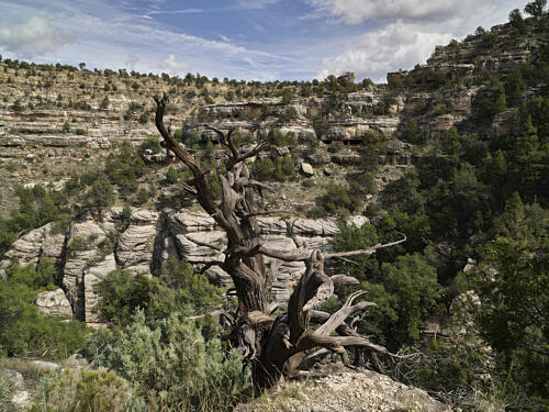 View into Walnut Canyon National Monument, Arizona, Flagstaff II Art Print