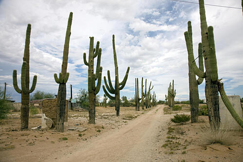 Rural Arizona Near Florence, Arizona Art Print