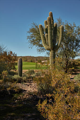 The We-Ko-Pa Golf Club in the Sonoran Desert Outside Fort McDowell, Arizona Art Print